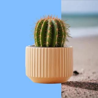 AI Blue Background transformation example